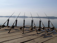 jungle carp fishing setup Khao Laem Dam