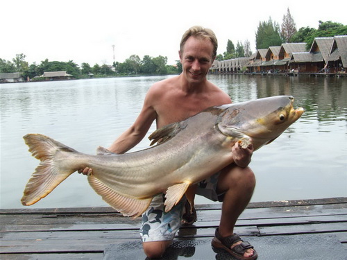 Thailand fishing for Mekong catfish