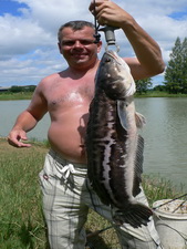 Giant snakehead fishing IT Lake Monsters