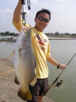Barramundi fishing Thailand