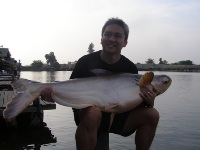 Mekong Giant Catfish Fishing in Bangkok