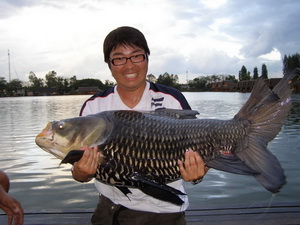 Siamese Carp fishing in Bangkok