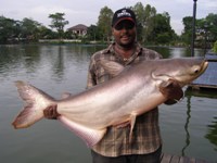 Fishing Bungsamran Lake Bangkok Thailand for Mekong giant catfish