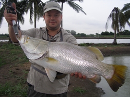 barramundi fly fishing thailand