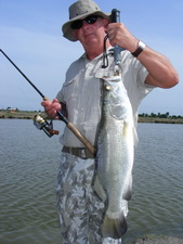 lure fishing for barramundi at Boon Mar Ponds