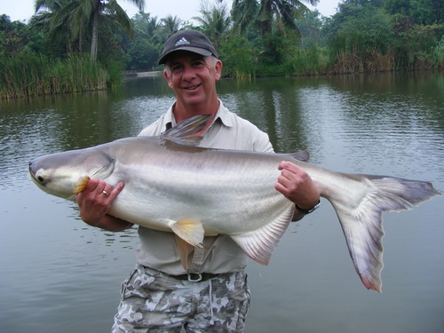 Mekong catfish fishing Hua Hin