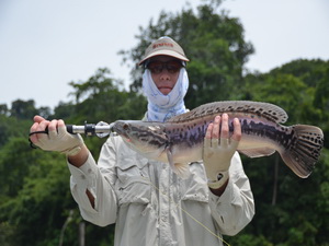 fishing in Malaysia