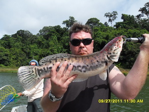 snakehead fishing malaysia Temenggor Dam