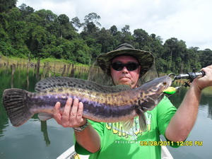 snakehead fishing malaysia Temenggor Dam