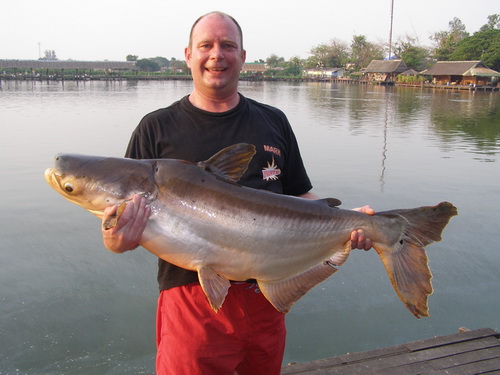 Dynamite Baits fishing in Thailand - Mark Thackerary
