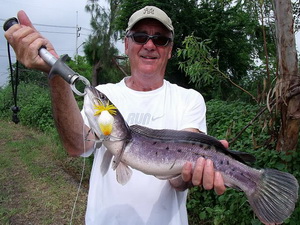 giant Snakehead fishing in Thailand at Pilot 111 ponds