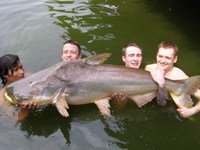 100lb Mekong giant catfish fishing in Bangkok