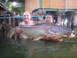 Mekong Catfish fishing Bangkok