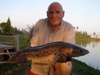snakehead fishing Thailand