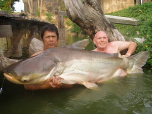Huge Mekong catfish caught fishing in Bangkok