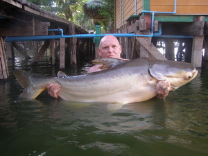 Mick Swan - 110lb Mekong Catfish