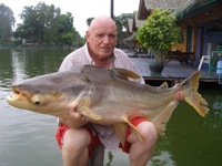 75lb Mekong giant catfish