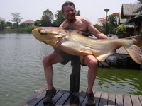 Giant Mekong Catfish Fishing Bangkok Thailand