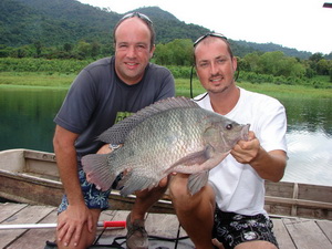 Big tilapia are also caught occassionally on Fish Thailand's jungle carp fishing safaris