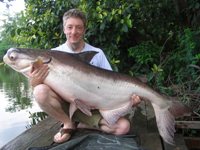 110lb Mekong giant catfish from Shadow Lake Bangkok