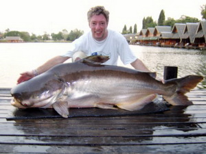 Myles Tommy with another huge Mekong catfish from Bungsamran Lake Bangkok