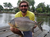 pacu fishing in thailand