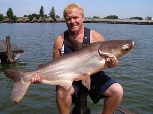 Mekong giant catfish fishing in Thailand