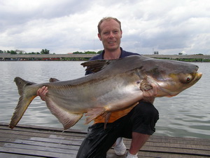 90lb Mekong catfish from Bungsamran Bangkok