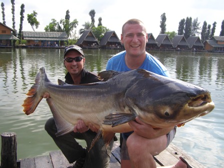 175lb Mekong Giant Catfish caught fishing in Thailand with the Fish Thailand Team