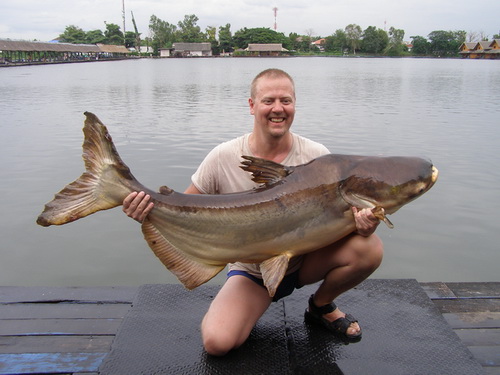 110lb Mekong catfish from Bungsamran Lake Bangkok