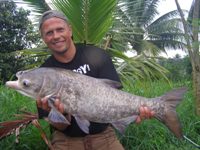 Bighead Carp Fishing Thailand