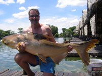 Fishing Thailand - Peter Rogers - 80lb Mekong Giant Catfish 