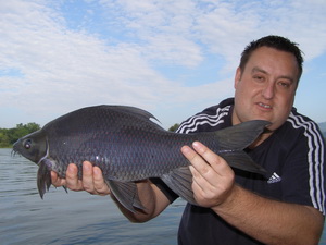 black carp fishing in thailand