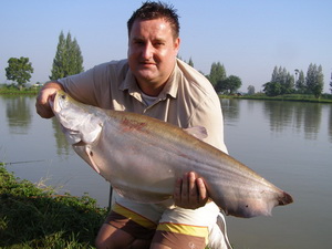featherback fishing in thailand at it lake monsters