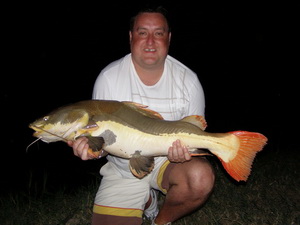 amazonian redtail catfish fishing thailand it lake monsters
