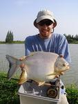 Pacu Fishing Thailand