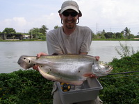 spotted festherback fishing in Thailand