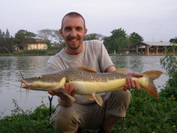 Tiger/redtail catfish IT Lake Monsters Thailand
