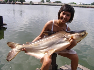 Fishing Bangkok at Bungsamran Lake