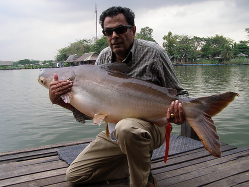 Rajan Ray fishing in Bangkok
