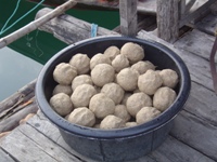 Large balls of groundbait 'ram' ready to be fed into the carp fishing swim