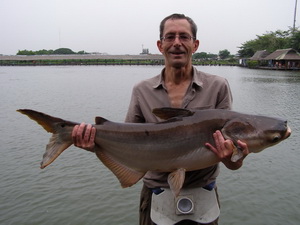 Mekong catfish fishing bangkok