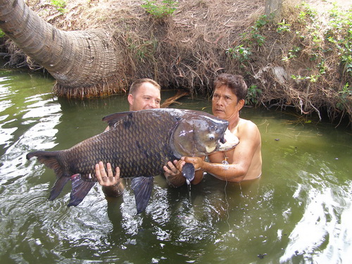 Carp fishing Bangkok with Fish Thailand Team