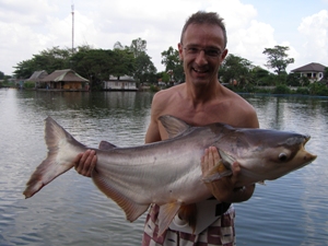 Mekong giant catfish fishing Thailand