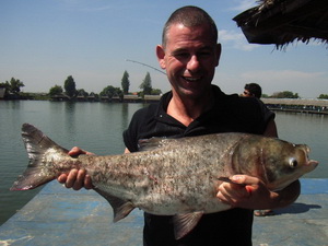 bighead carp fishing thailand