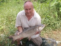 mrigal fish caught fishing in Bangkok at shadow lake