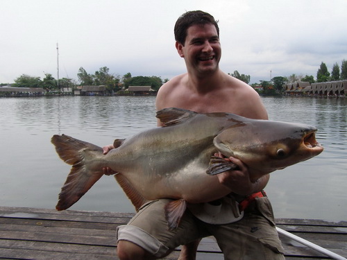 Fishing in Thailand for Mekong giant Catfish