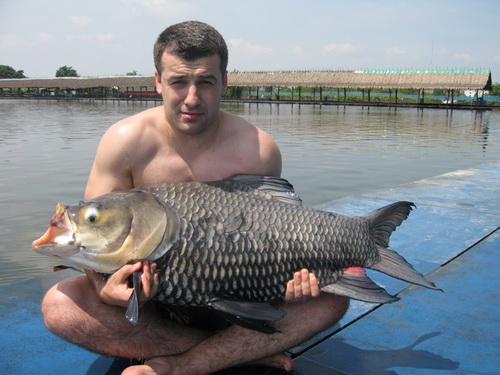 Carp fishing Thailand