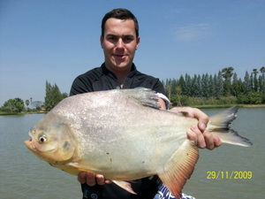 pacu fishing it lake monsters
