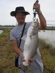 Barramundi fishing in Thailand
